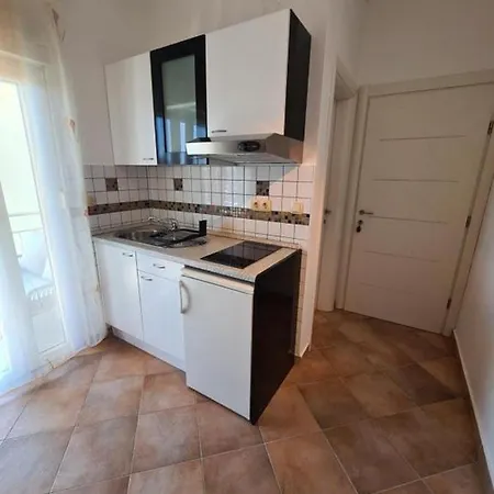 Neda Βόντιτσε